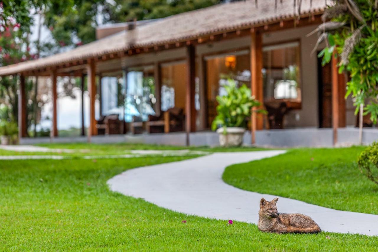 Pousada Piuval Acomodação com café da manhã Poconé Exterior foto