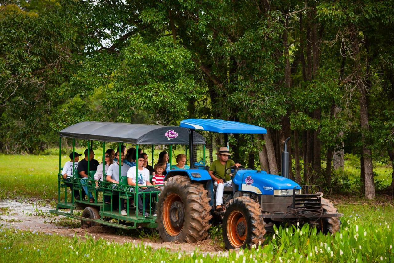 Pousada Piuval Acomodação com café da manhã Poconé Exterior foto