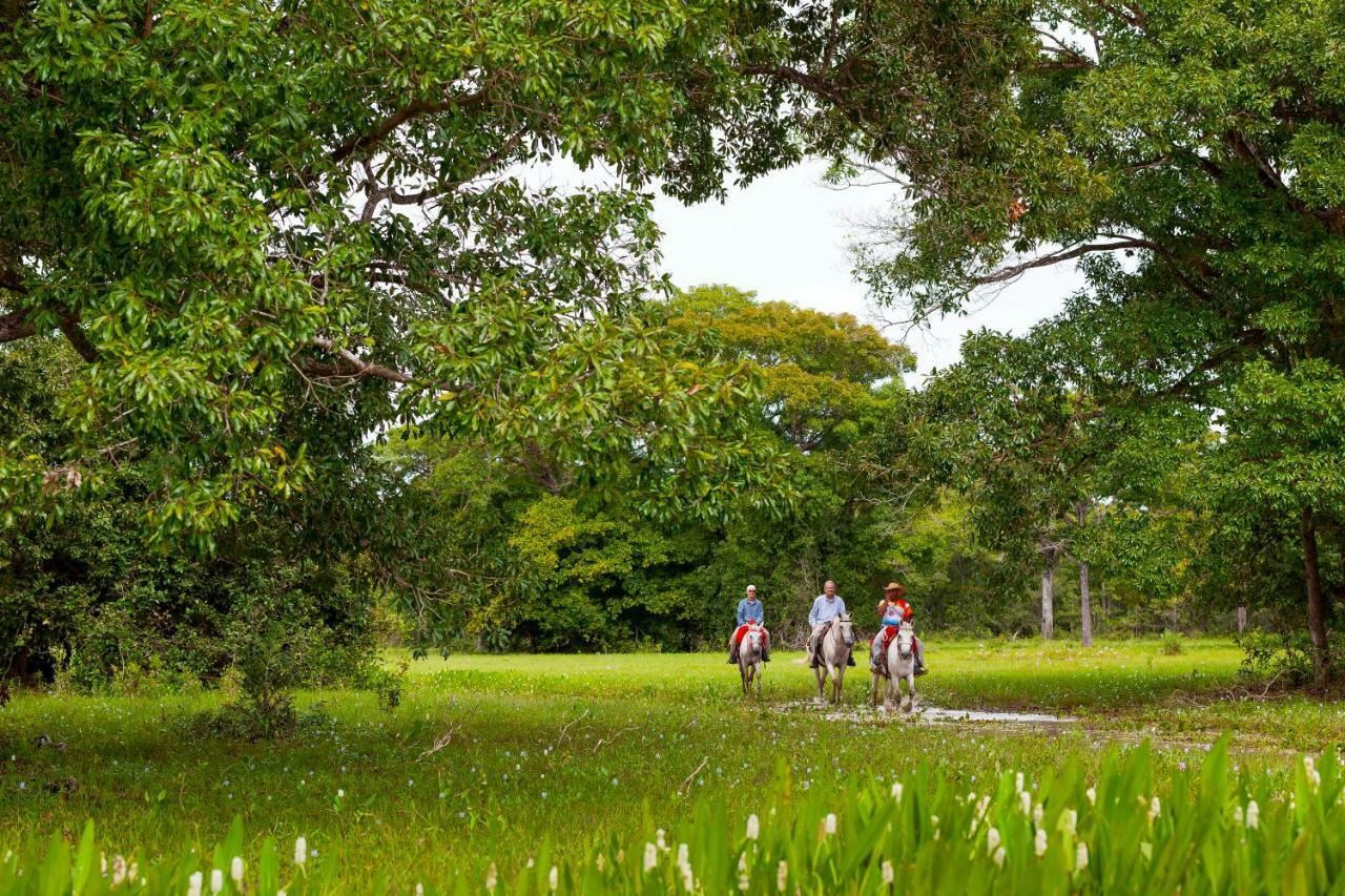 Pousada Piuval Acomodação com café da manhã Poconé Exterior foto