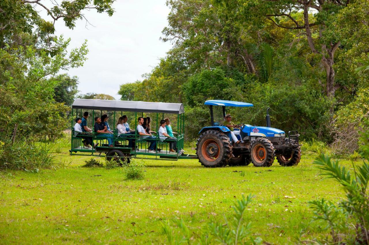 Pousada Piuval Acomodação com café da manhã Poconé Exterior foto