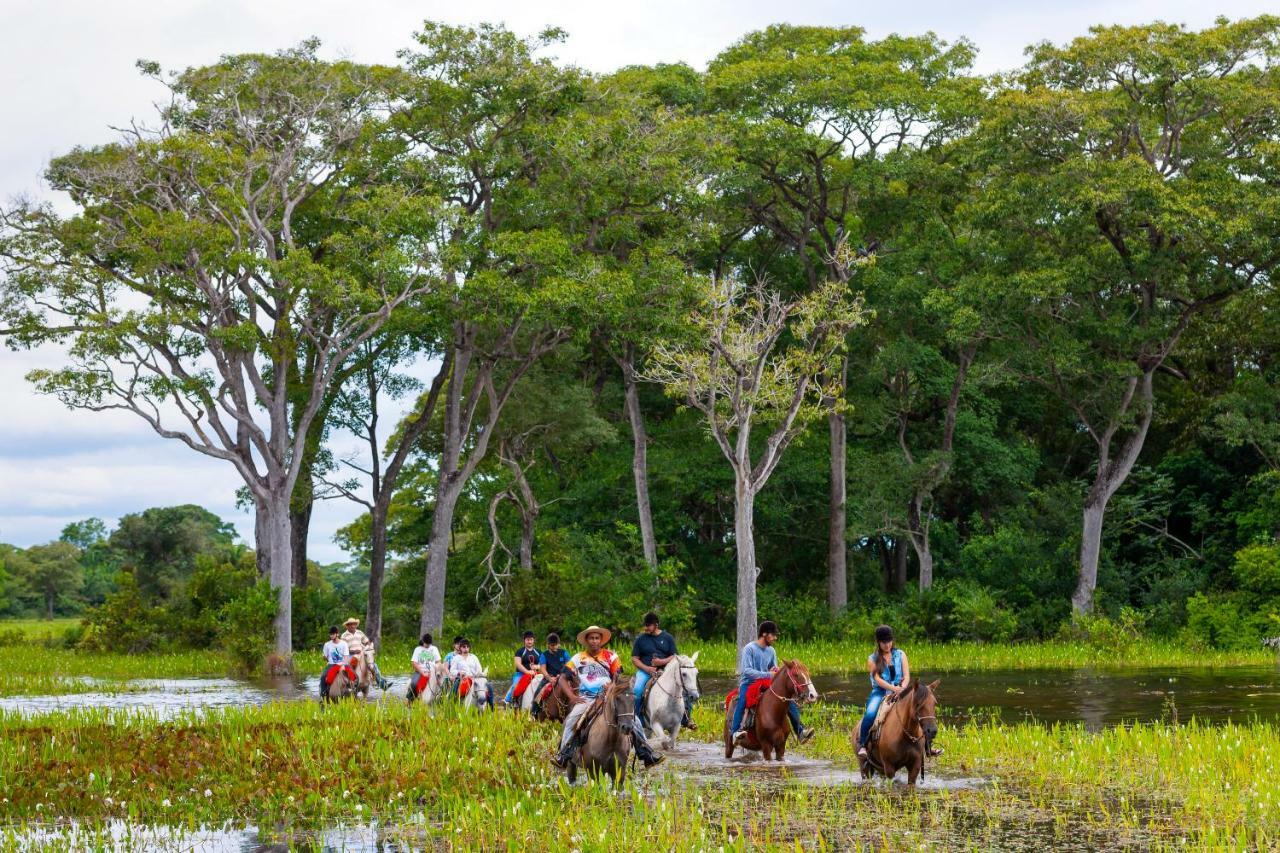 Pousada Piuval Acomodação com café da manhã Poconé Exterior foto