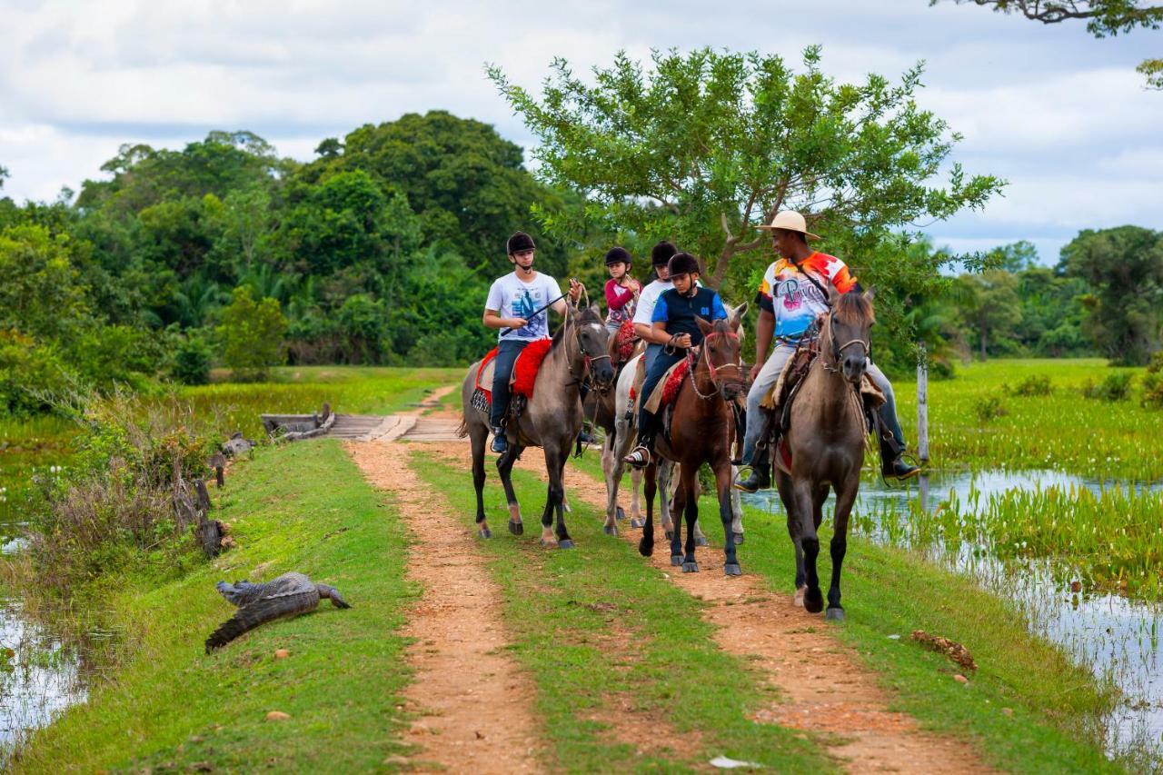 Pousada Piuval Acomodação com café da manhã Poconé Exterior foto