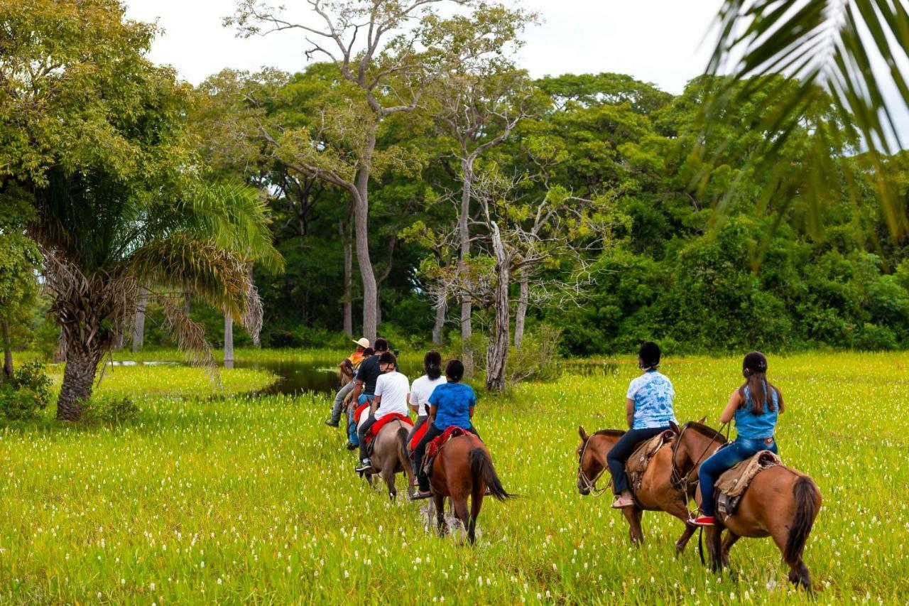 Pousada Piuval Acomodação com café da manhã Poconé Exterior foto