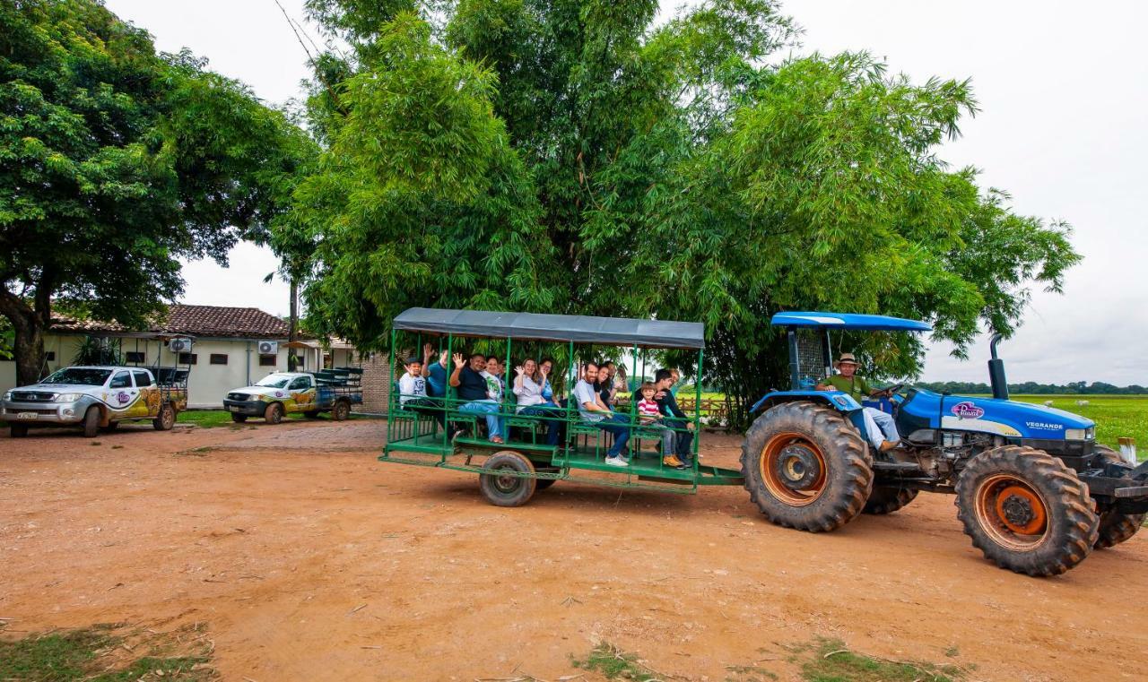 Pousada Piuval Acomodação com café da manhã Poconé Exterior foto