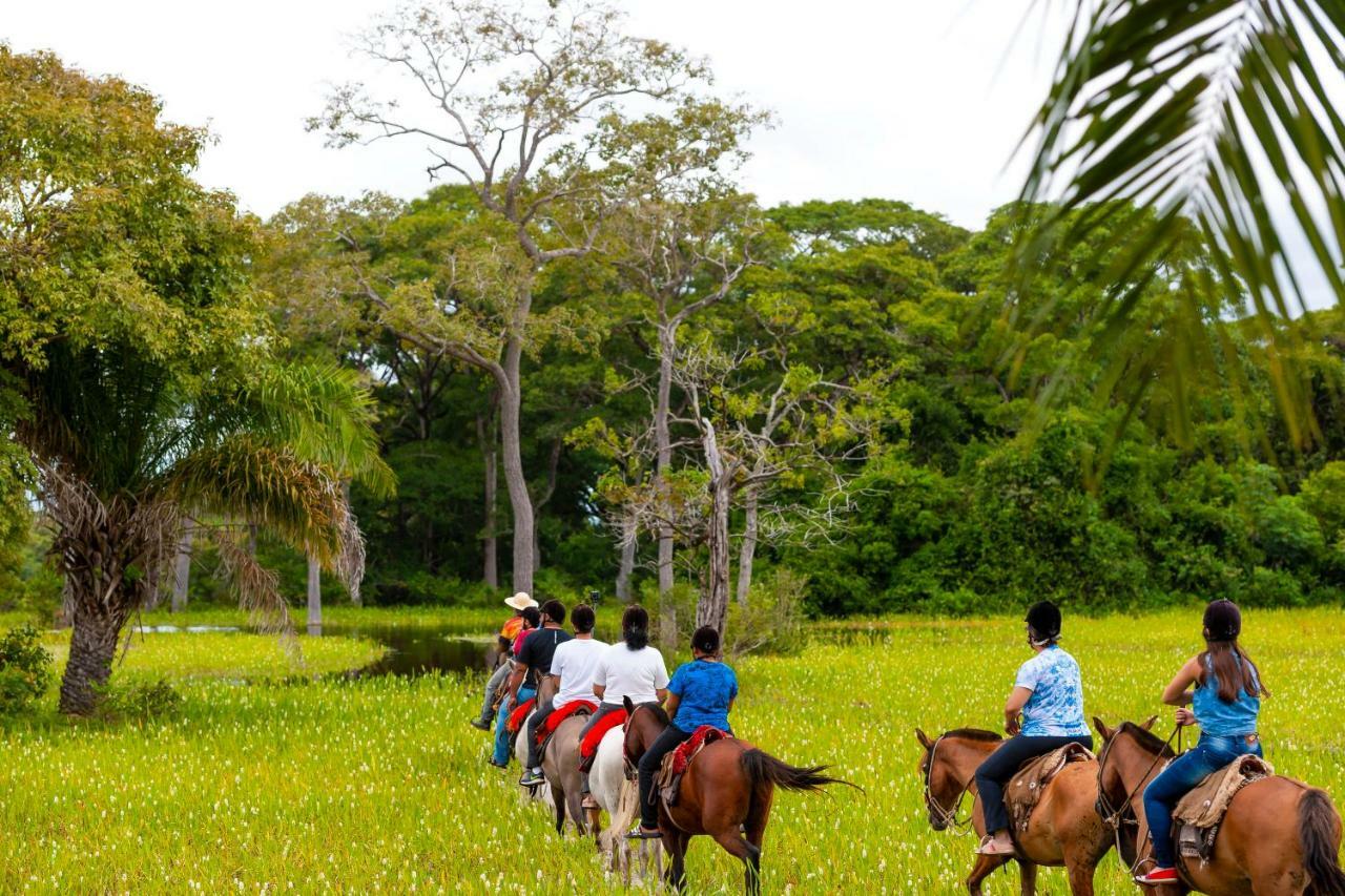 Pousada Piuval Acomodação com café da manhã Poconé Exterior foto